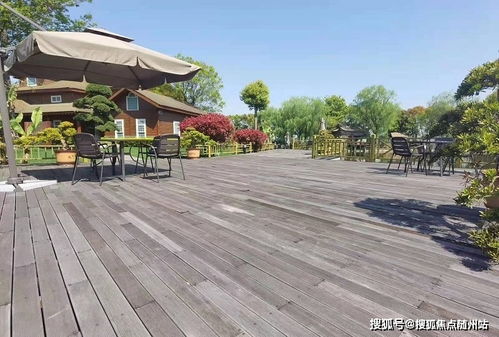 嘉善 售樓處電話 地址位置 24小時官方網站